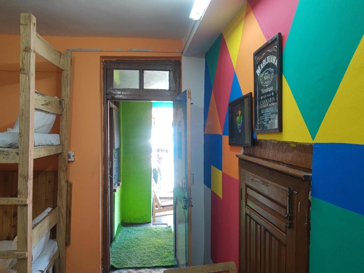 La Siesta India Manali Hostel - Manali (Himachal Pradesh), Manali